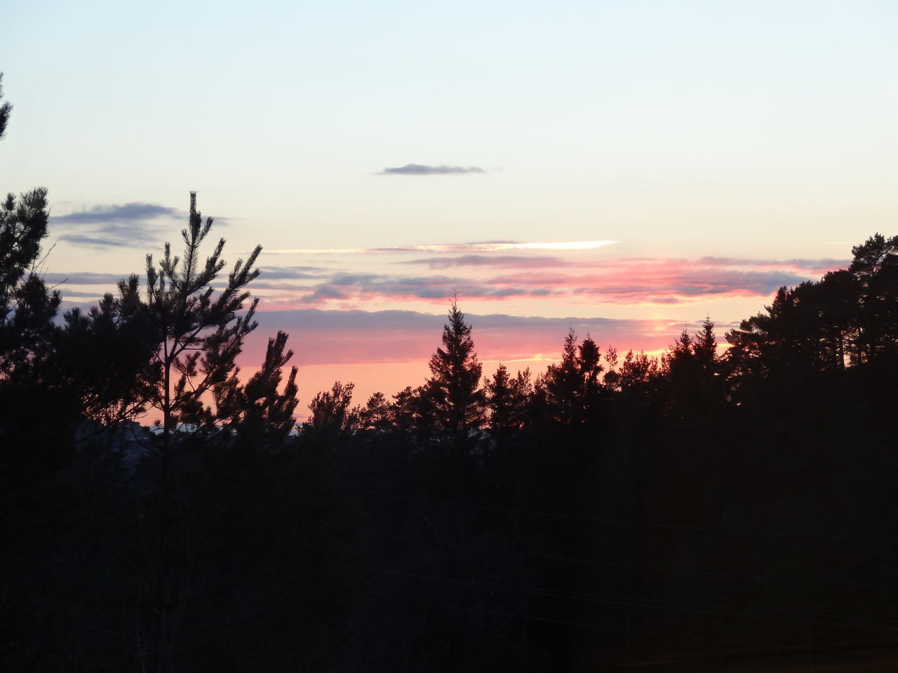 DSC00243.jpg