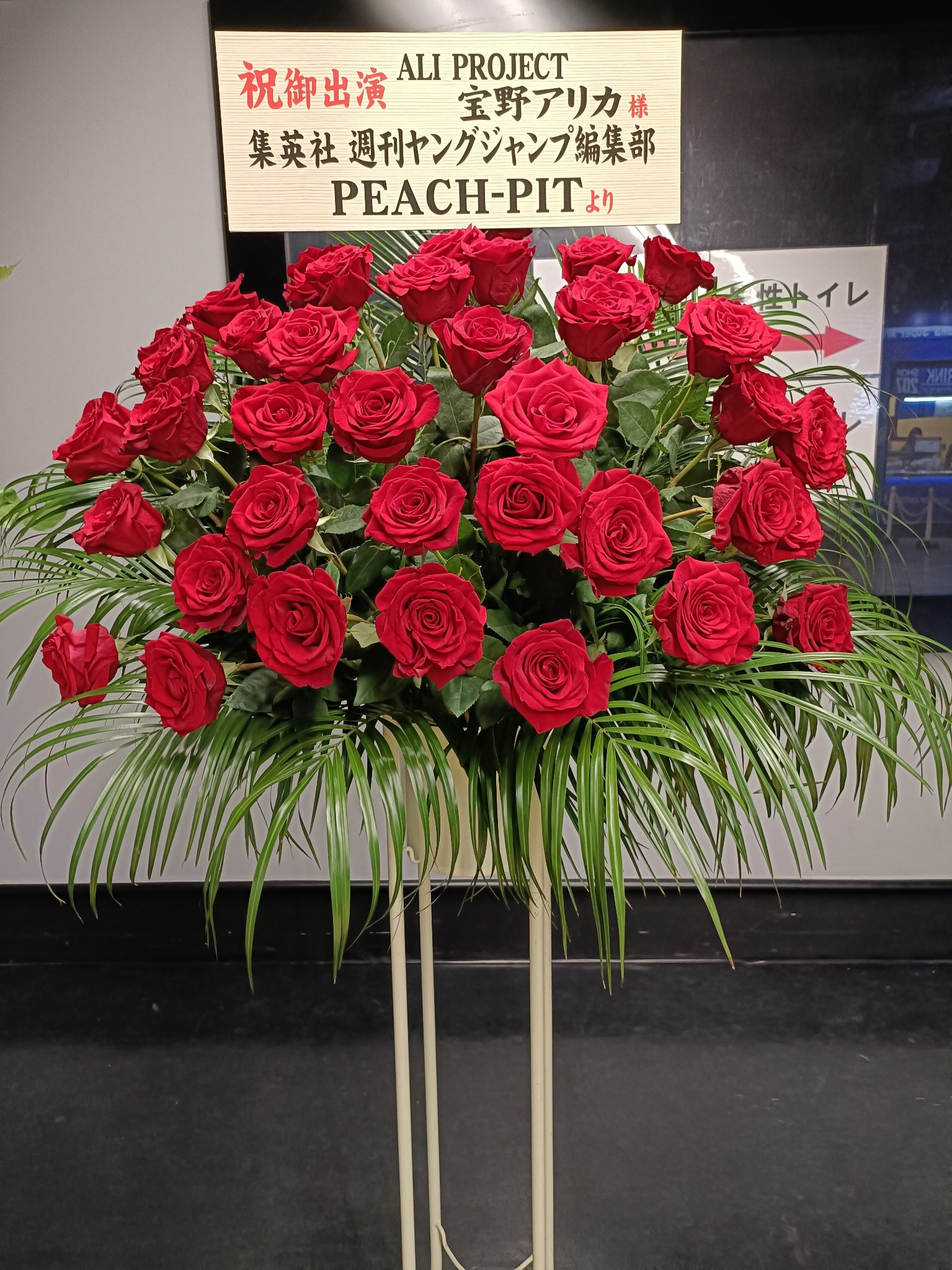 IMG20250831141637.jpg
