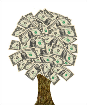 MoneyTree-anthonyfemando.jpg