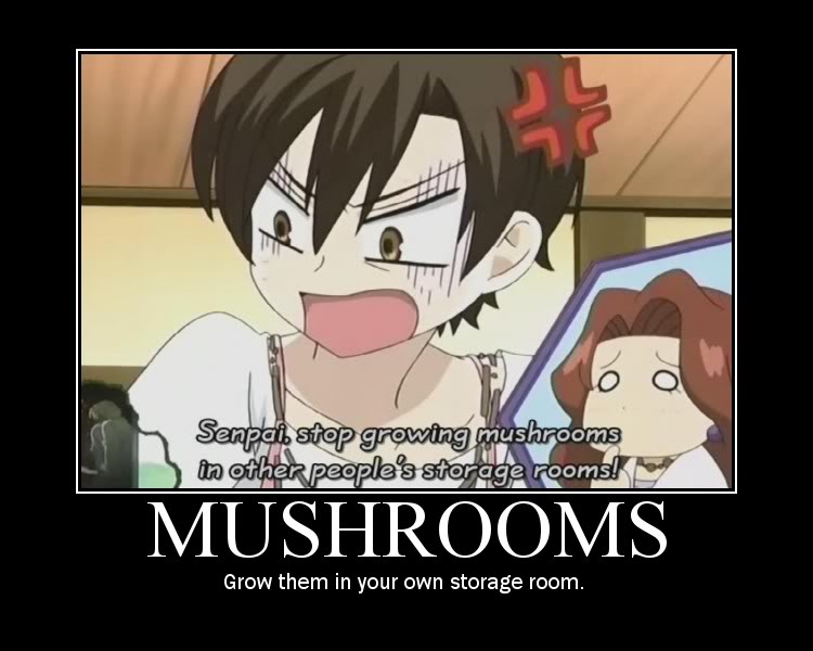 mushrooms.jpg