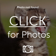 th_IMG_25352.jpg th_IMG_25352.jpg