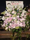 IMG20250828184840.jpg